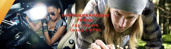первитин Алексеевка