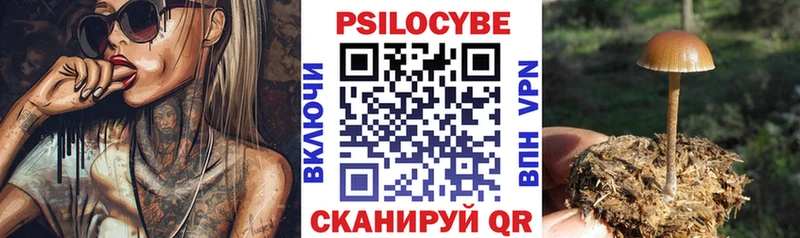 Псилоцибиновые грибы MAGIC MUSHROOMS  Бобров 