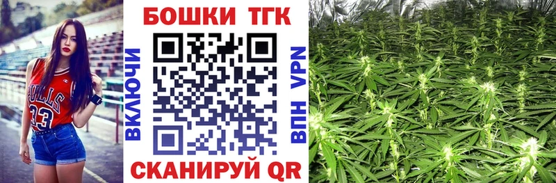 Марихуана план  продажа наркотиков  Бобров 